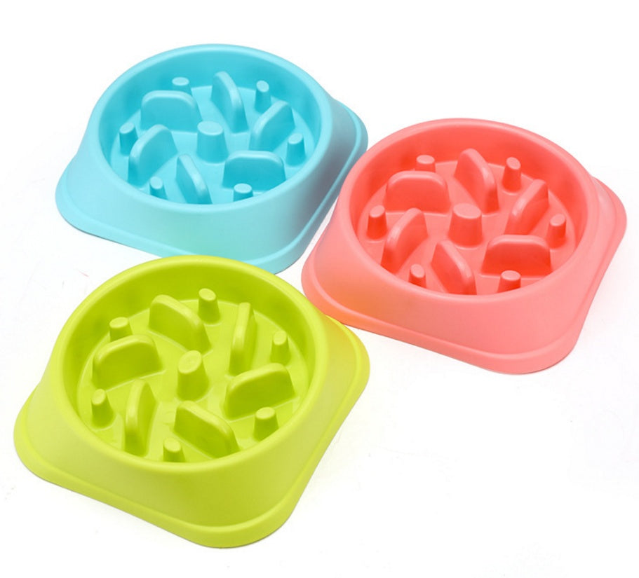 Slow Feeder Dog Bowl – Anti-Gulping Design