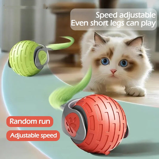 Smart Interactive Rolling Ball Toy for Cats