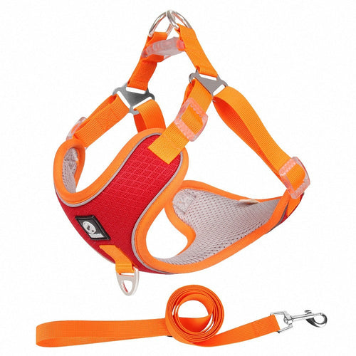 Adjustable Reflective Mesh Dog Harness – Breathable & Comfortable